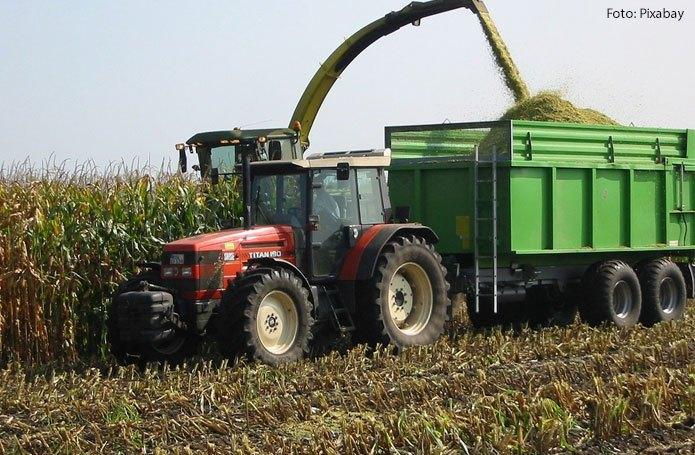 Alta de 6,7% na colheita da soja deverá levar safra de 2020 ao recorde de 240,9 milhões de toneladas