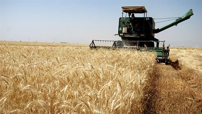 Comerciantes mundiais de grãos na fila para iniciar negócios no Irã