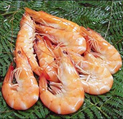 Irã, Oeste Azarbaijan Province ,a exportar lagosta para 4 países.
