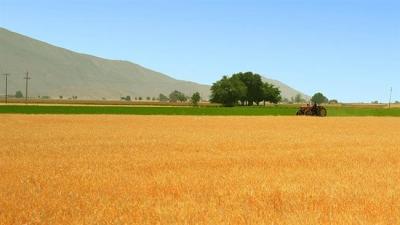 Irã a renunciar a importação de trigo pela primeira vez.